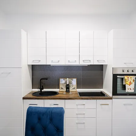 Lilys Lux アパート Vrnjačka Banja